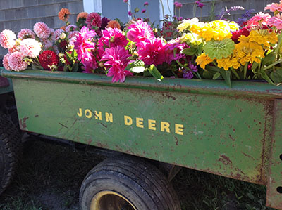 flowers in a truck